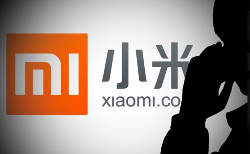 小米有品關(guān)聯(lián)公司經(jīng)營(yíng)范圍擴(kuò)展，新增新能源汽車(chē)換電設(shè)施與票務(wù)代理服務(wù)